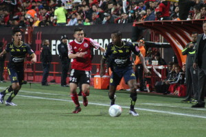 xolos