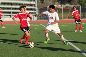 Xolos sub15